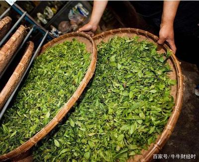 两大茶叶出口国,中国和印度,哪方竞争力更强?